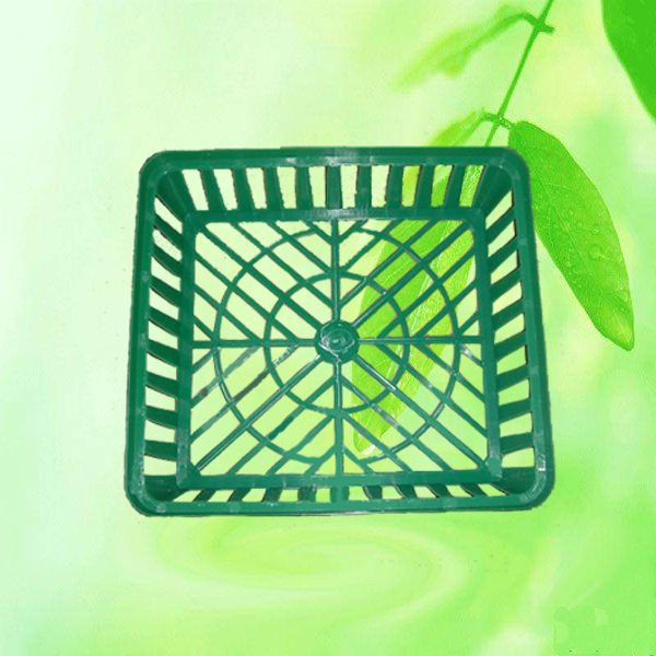 China Garden Storage Basket Bulb Planter Onion Tray HT5051-2 China factory supplier manufacturer