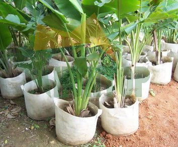 China Root Control Grow Bags HT5090 China factory manufacturer supplier