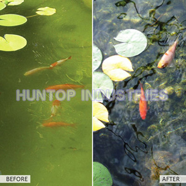 China Eco Pond Clear HT5611 China factory supplier manufacturer