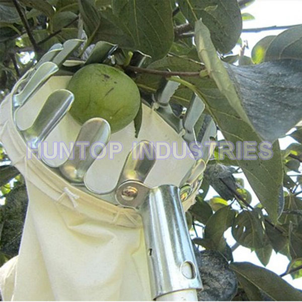 China Fruit Picker Gardening Tool HT5805A China factory supplier manufacturer