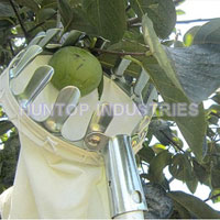 China Fruit Picker Gardening Tool HT5805A China factory manufacturer supplier