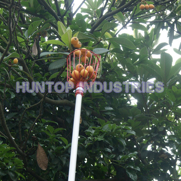 China Lawn and Garden Fruit Picker Head and Pole HT5805 China factory supplier manufacturer