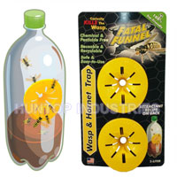 China Drinks Bottle Wasp Traps HT4606