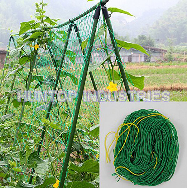 China Nylon Netting for Climbing Plant HT5105 China factory supplier manufacturer
