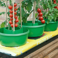 China Self Watering Garden Pots Planters Plant Halos Tomato Growing Plant Pots HT5720