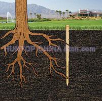 China Tree Watering Stakes HT5077 China factory manufacturer supplier