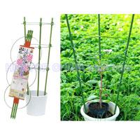 China Plastic Garden Flower Support HT5053 China factory manufacturer supplier