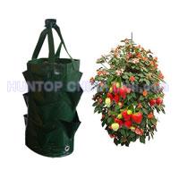 China Strawberry Grow Planter Bag HT5705 China factory manufacturer supplier
