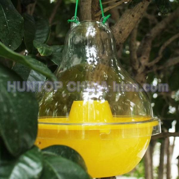 China Dome Wasp Trap HT4608 China factory supplier manufacturer