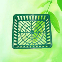 China Garden Storage Basket Bulb Planter Onion Tray HT5051-2 China factory manufacturer supplier