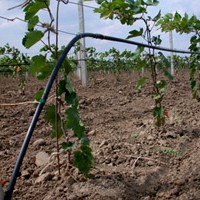 China Vineyard Drip Irrigation System HT1119