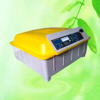 China Portable Mini Poultry Egg Incubator HTA501 China factory manufacturer supplier
