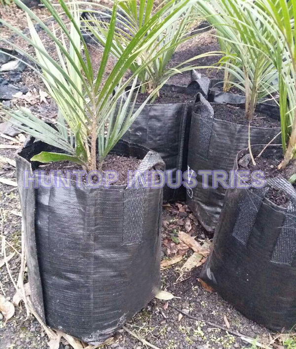 China Durable Tree Grow Bags HT5089 China factory supplier manufacturer