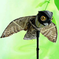China Prowler Owl Bird Repeller HT5154