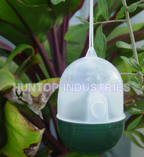 China Hanging Flying Insect and Wasp Traps HT4601 China factory supplier manufacturer