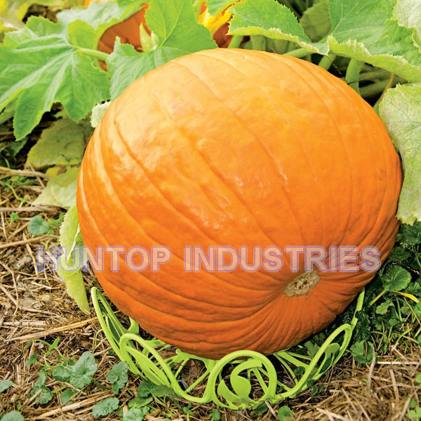 China Pumpkin Pedestals Support HT5628F China factory supplier manufacturer