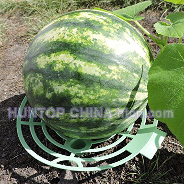 China Melon Squash and Pumpkin Cradles HT5628D China factory supplier manufacturer