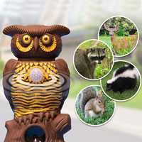 China Electronic Animal Repellent Owl Alert HT5155A