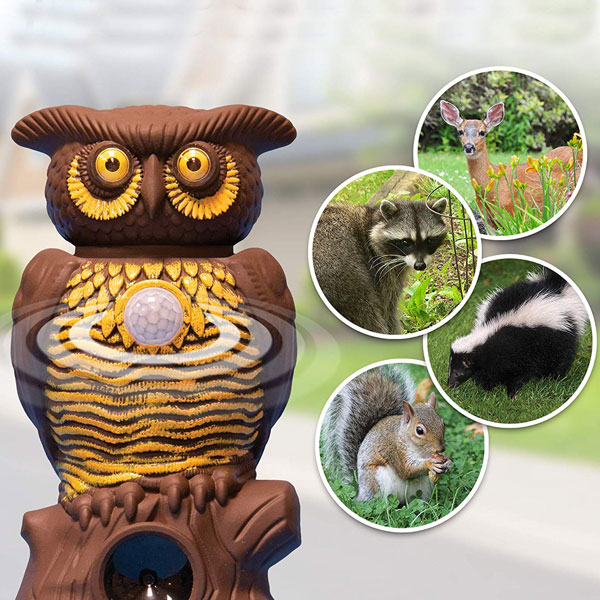 China Electronic Animal Repellent Owl Alert HT5155A China factory supplier manufacturer