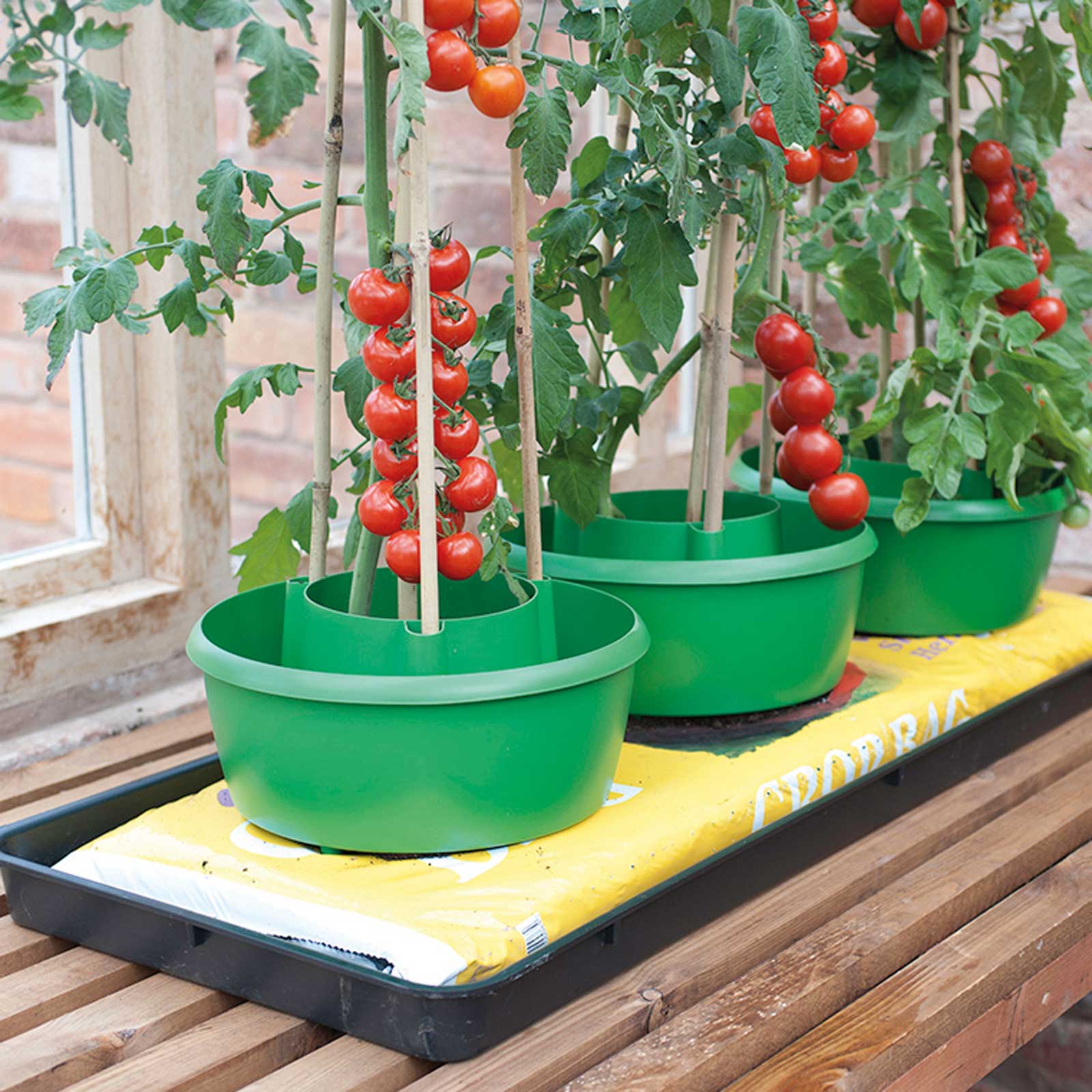 Plant Halos Tomato GrowPot With Supporter & Slow Watering 8pc pack