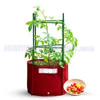 China Bloombagz Big Tomato Planter Box HT5087