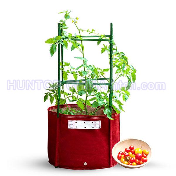 China Bloombagz Big Tomato Planter Box HT5087 China factory supplier manufacturer