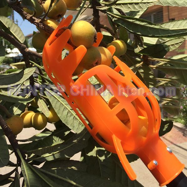 China Apple Picker Fruit Harvester Tool HT5805B China factory supplier manufacturer