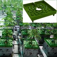 China Hydroponic Growing Plant Pot HT5721 China factory manufacturer supplier