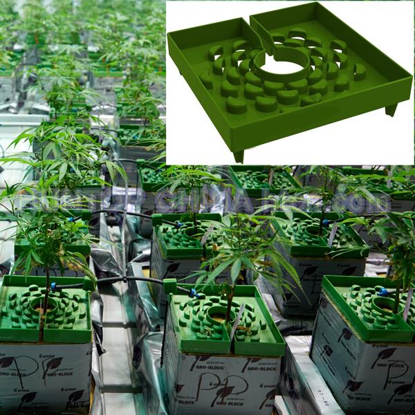 China Hydroponic Growing Plant Pot HT5721 China factory supplier manufacturer